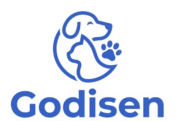 Godisen